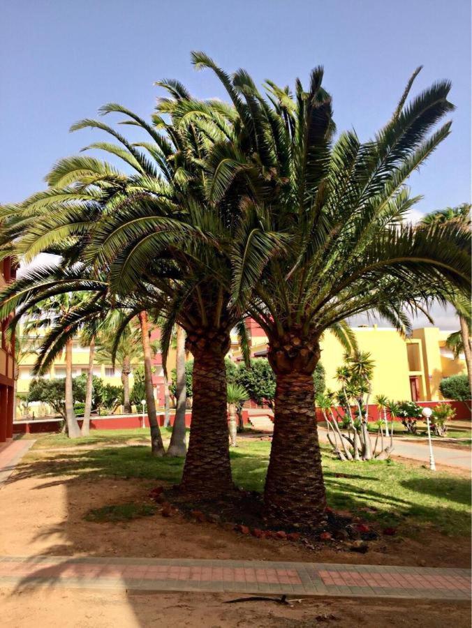 Pax Et Bonum Apartman Parque Holandes Kültér fotó